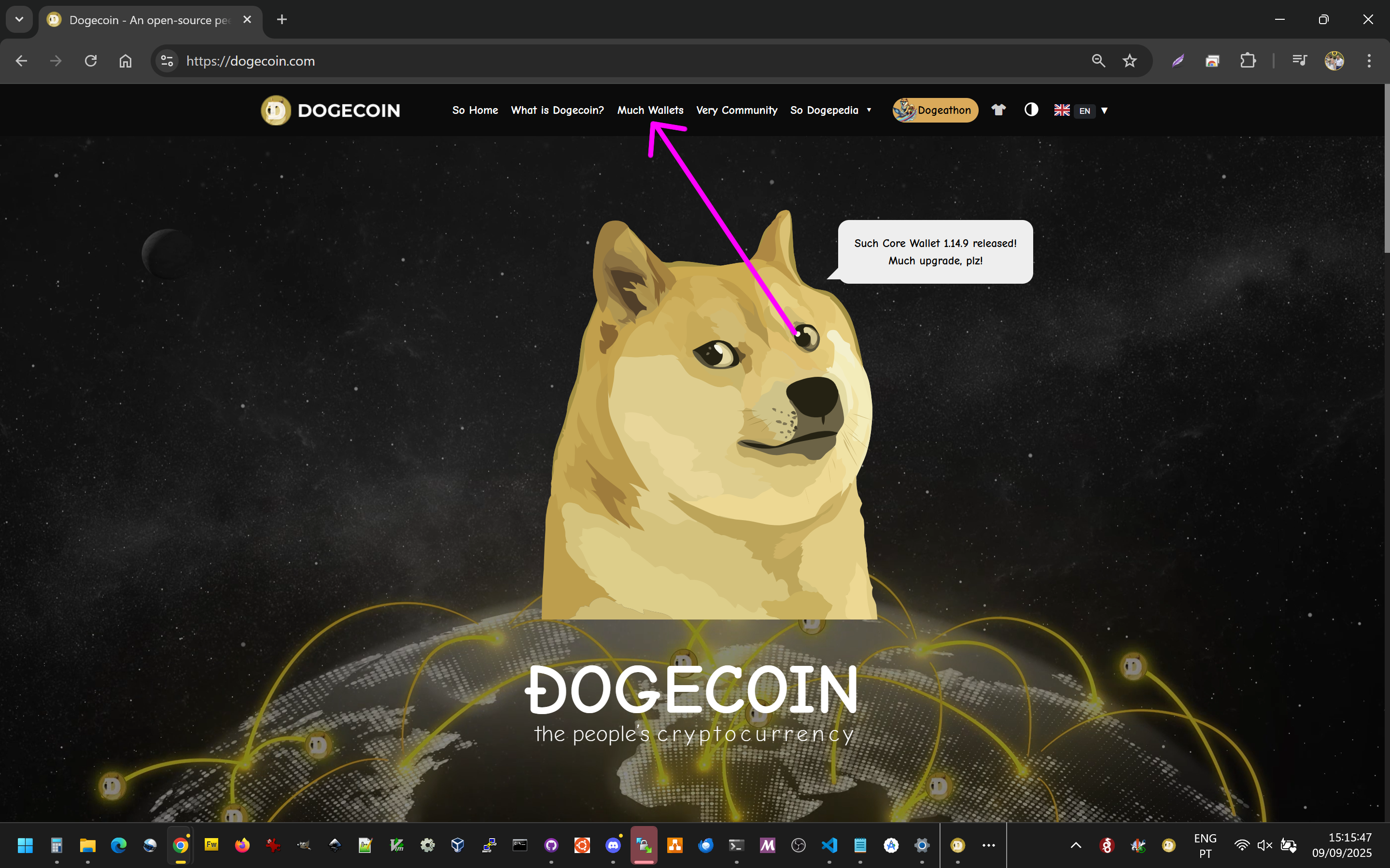 https://what-is-dogecoin.com/imgShare/run_node/001.png